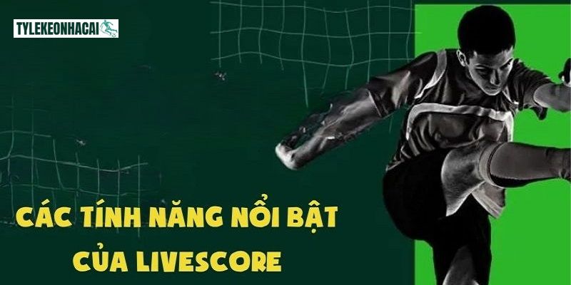 Công cụ hỗ trợ đa dạng tính năng để cược thủ thuận tiện theo dõi Công cụ hỗ trợ đa dạng tính năng để cược thủ thuận tiện theo dõi