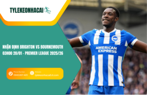 Đội hình dự kiến trước trận Brighton vs Bournemouth