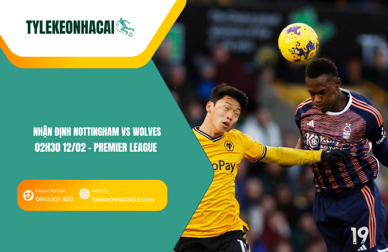Đội hình dự kiến trước trận Nottingham vs Wolves Đội hình dự kiến trước trận Nottingham vs Wolves